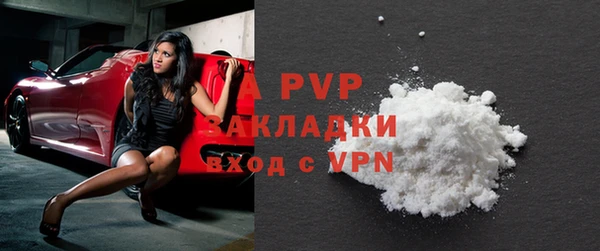 бошки Белокуриха