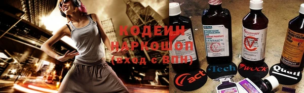 таблы Богородицк